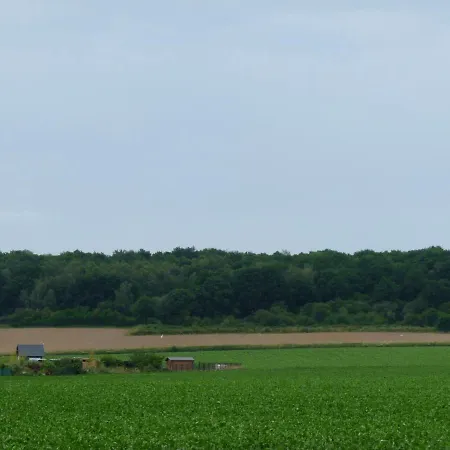 Les Landes Avec Terrasse Et Jardin Heuringhem